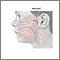 Adenoid removal - Series