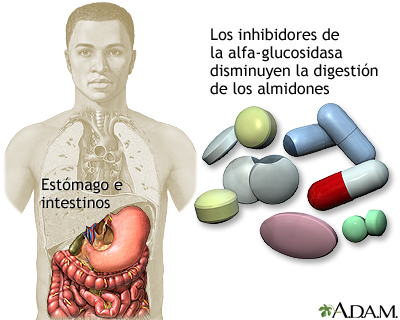 Inhibidores de la alfa-glucosidasa