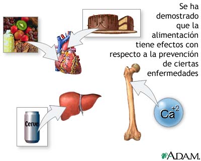 Diet and disease prevention