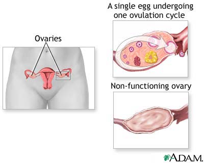 Ovarian hypofunction