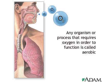 Aerobic organisms