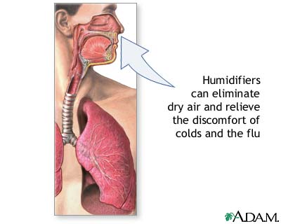 Humidifiers and health