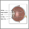 Internal eye anatomy