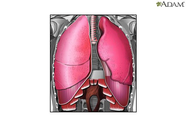 Breathing - Health Video: MedlinePlus Medical Encyclopedia