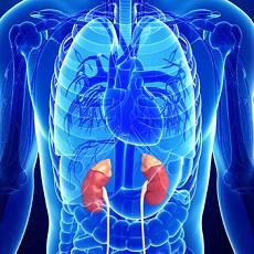 Adrenal Gland Disorders