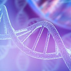 Células y ADN