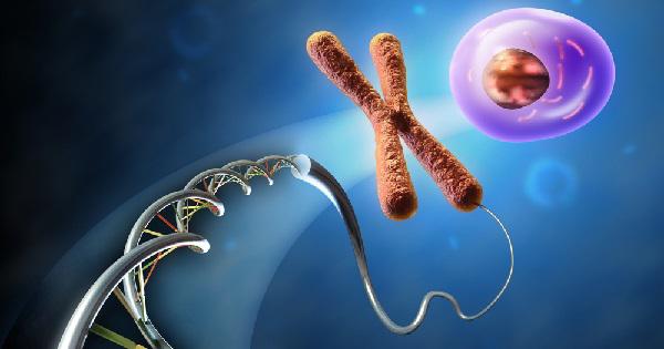 X chromosome MedlinePlus Genetics