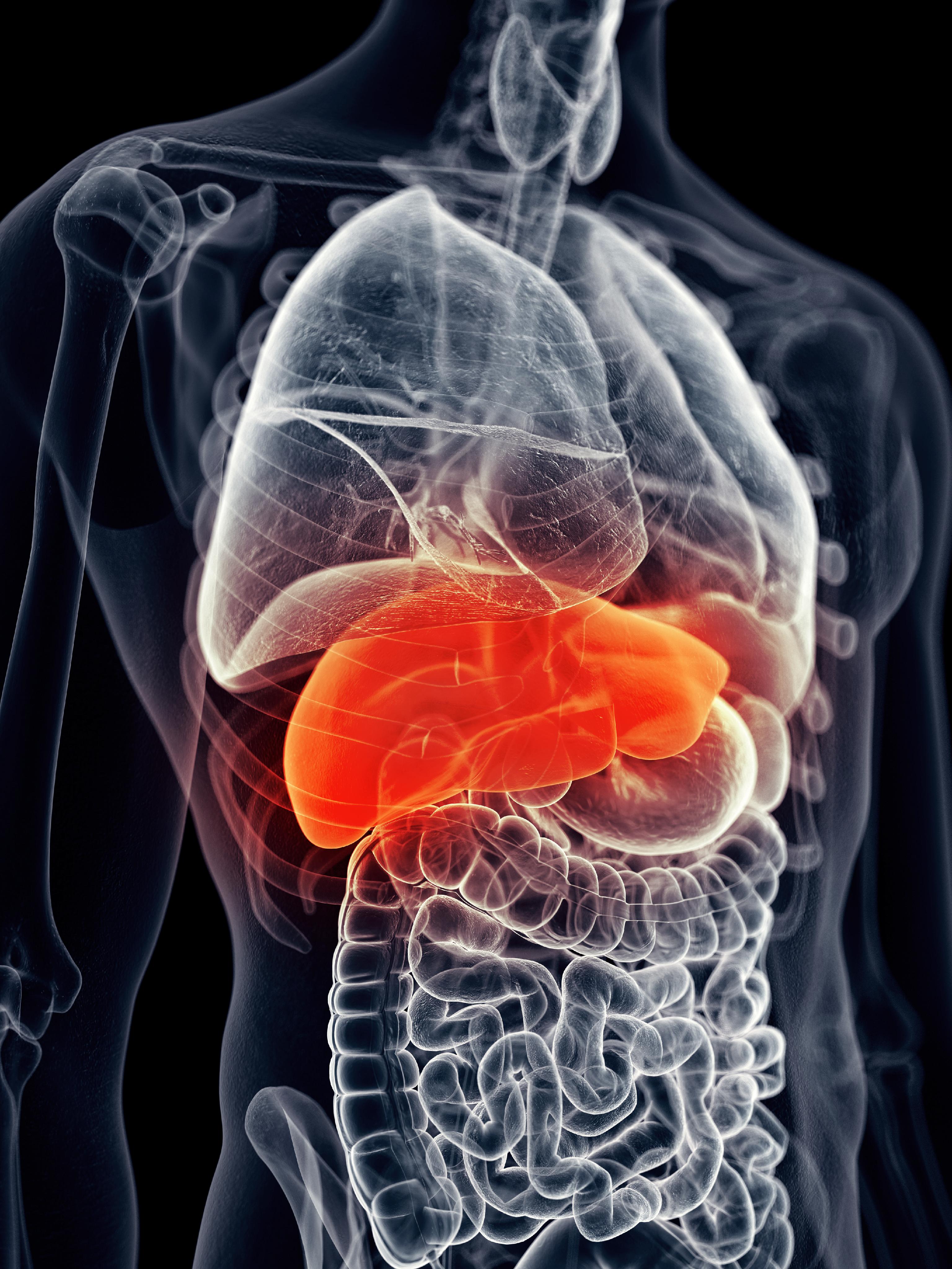 new research liver cirrhosis