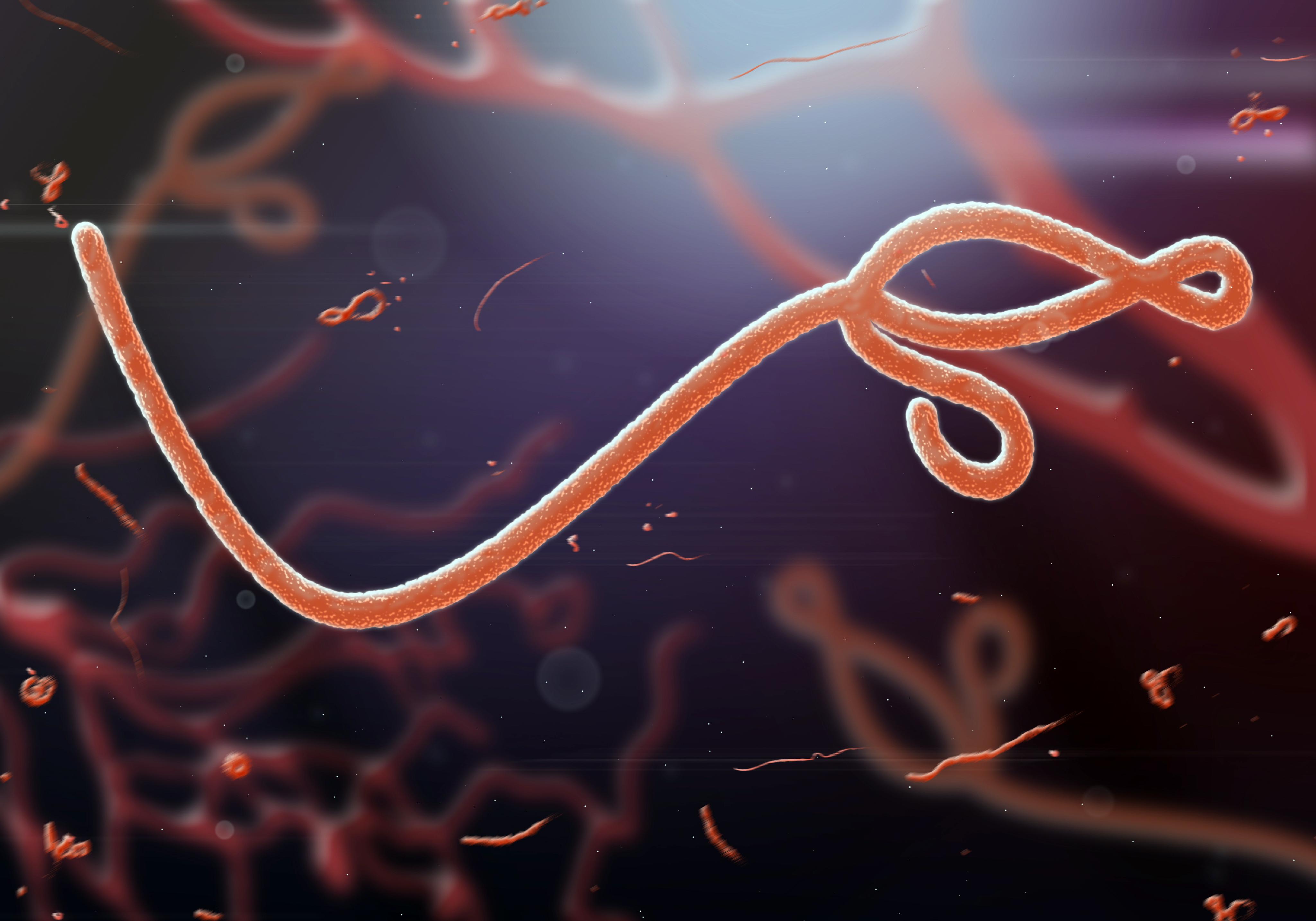 ebola research paper