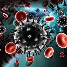VIH/SIDA y las infecciones