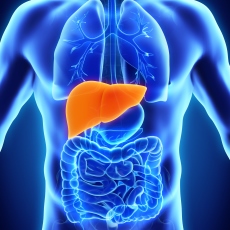 Liver Disease | MedlinePlus