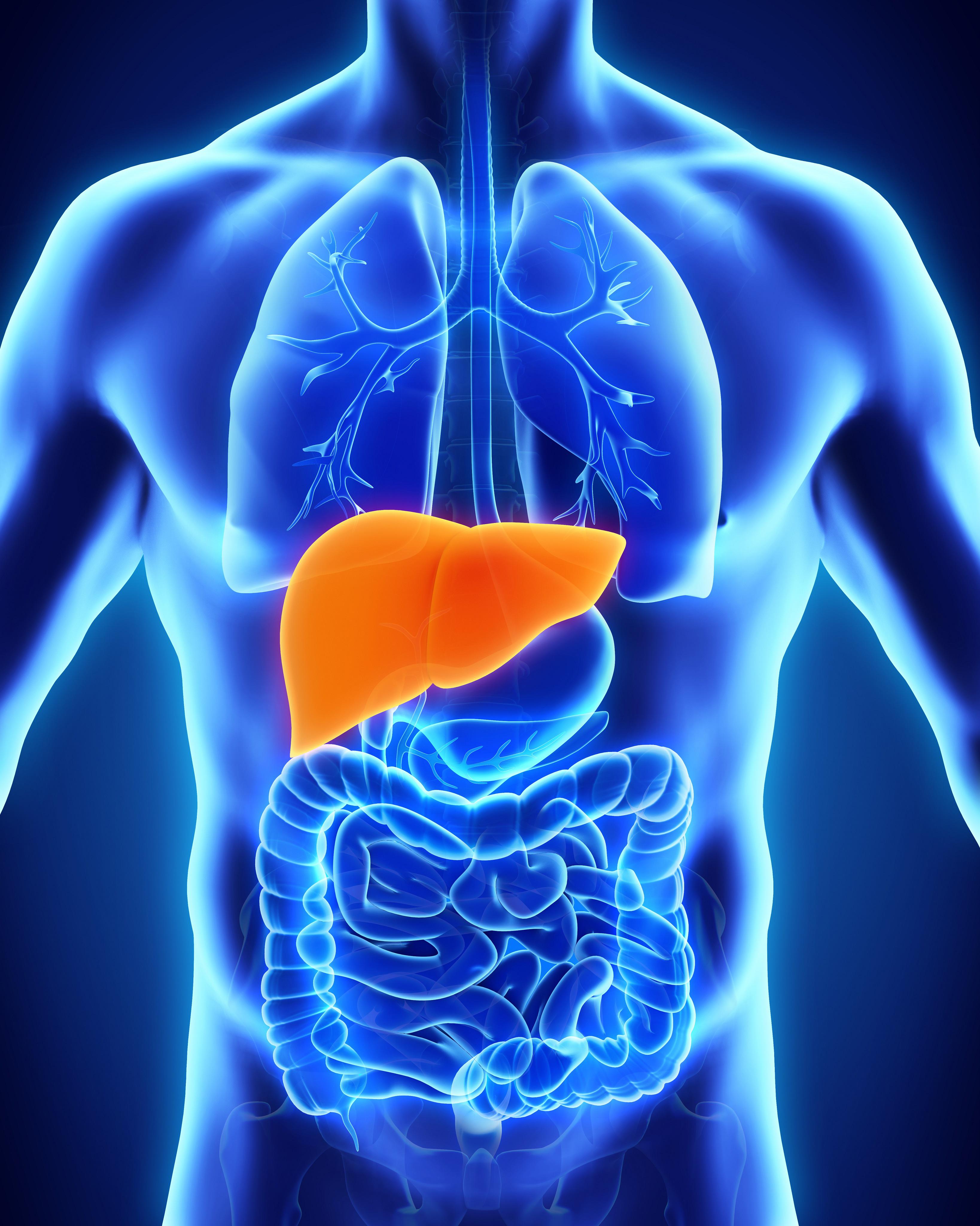 Liver Function and Diseases, Know all about Liver_50.1