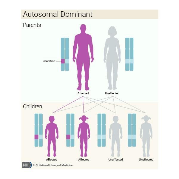 autosomal dominant inheritance condition genetic disease dominance nih inherited pattern gene genetics parkinson carrier which disorder affected family copy conditions
