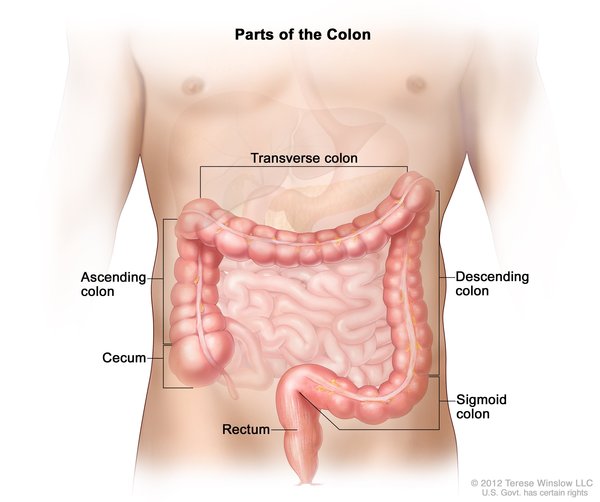 Helping a Loved One With Crohn's Disease: Digestive Disease