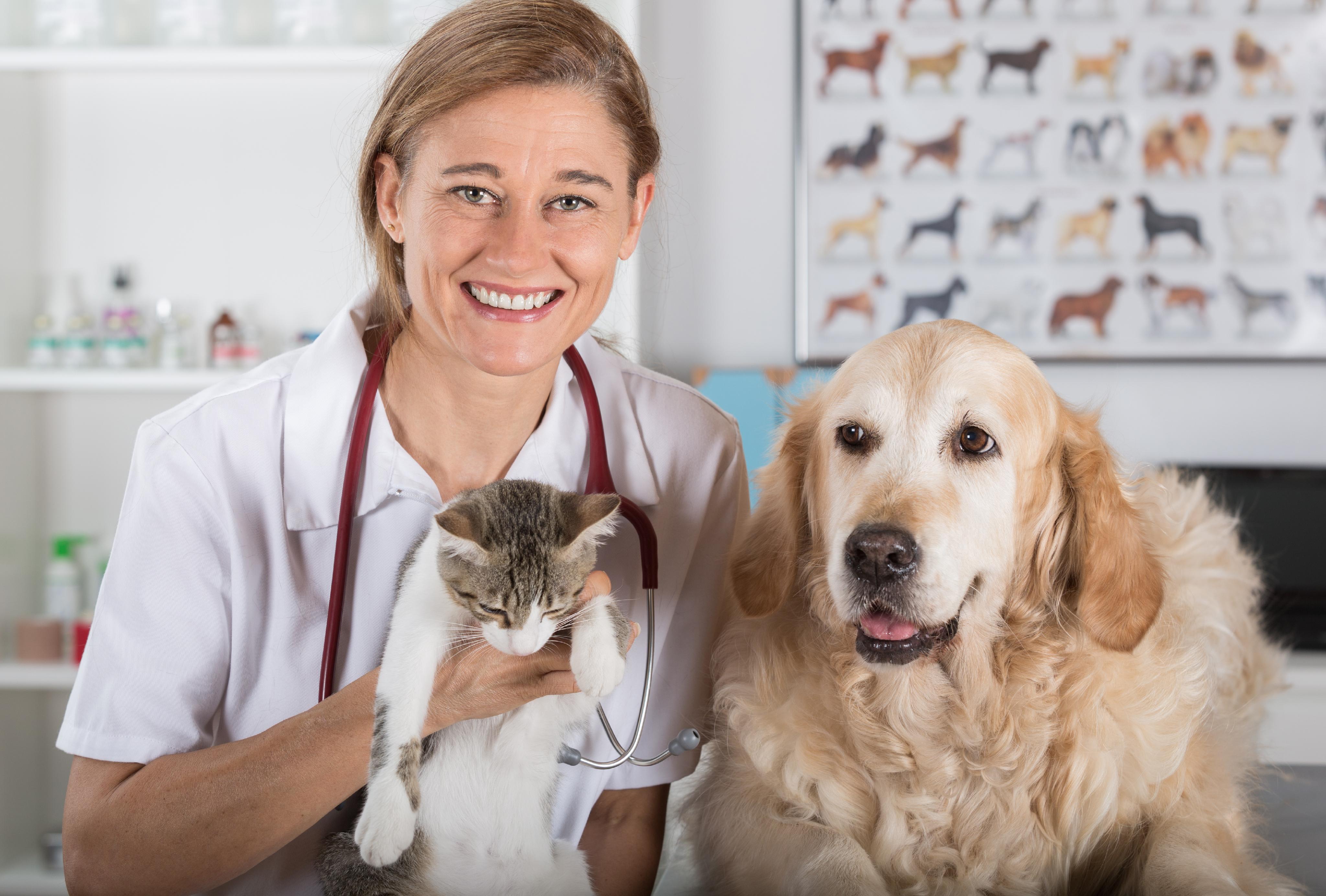 Pet Health: MedlinePlus