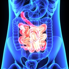Small Intestine Disorders