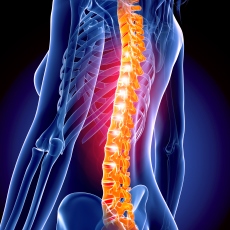 Lesiones y enfermedades de la columna vertebral