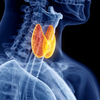 Enfermedades de la tiroides