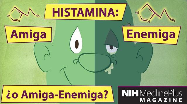 Histamina: De lo que está hecha la alergia