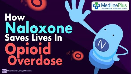 MedlinePlus: How Naloxone Saves Lives in Opioid Overdose