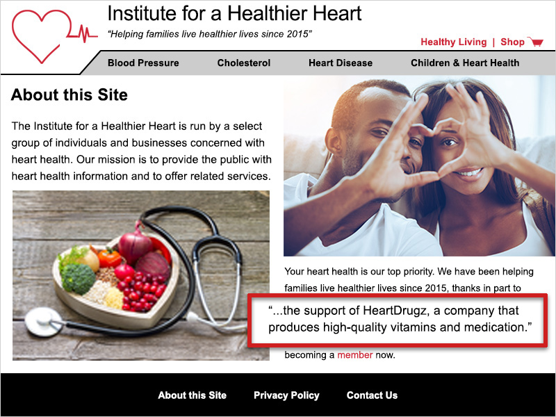 Screenshot of the 'About this Site' page for the IHH. A red box outlines the text '...the support of HeartDrugz, a company that produces high-quality vitamins and medication.'
