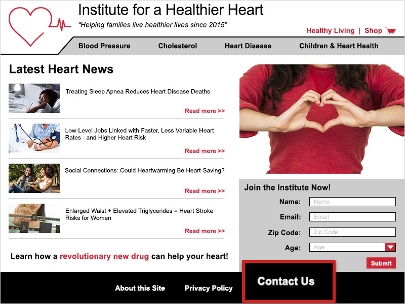 Screenshot of the IHH homepage. A red box outlines the text 'Contact Us' in the footer area.