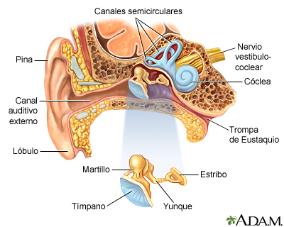 interior Aguanieve vulgar Dolor de oído: MedlinePlus enciclopedia médica