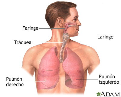 Trasplante de pulmón - serie
