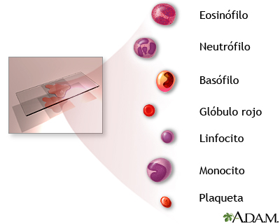 Conteo sanguíneo completo - serie - Indicaciones