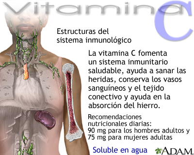 Beneficios De La Vitamina C Medlineplus Enciclopedia Medica Illustracion