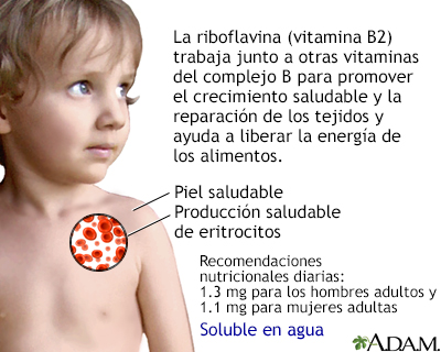 Beneficios de la vitamina B2