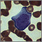 Mononucleosis - microfotografía de células