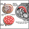 Anatomía de la placenta normal