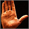 Anatomía de la superficie de la palma de la mano normal